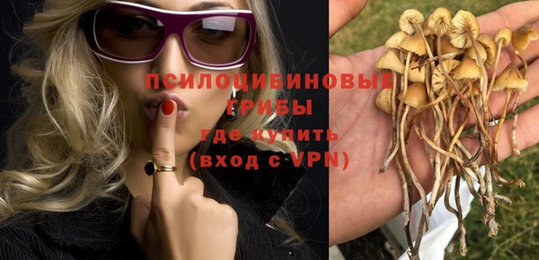 прущие крисы Аркадак