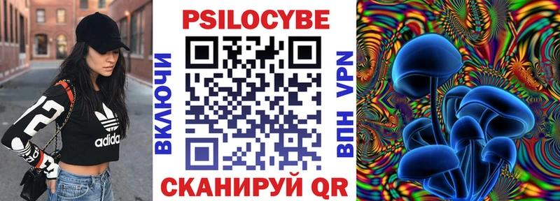 Галлюциногенные грибы GOLDEN TEACHER  где можно купить наркотик  mega ССЫЛКА  Багратионовск 