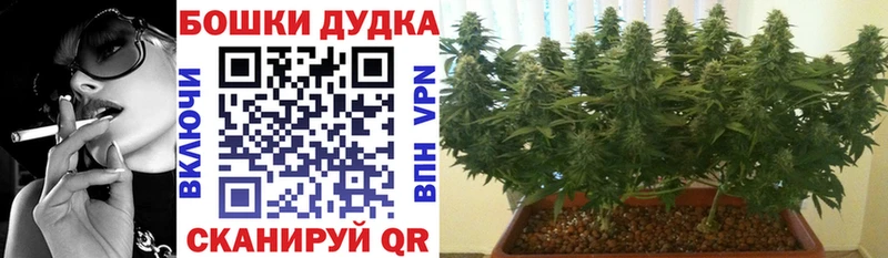 МАРИХУАНА SATIVA & INDICA  Багратионовск 